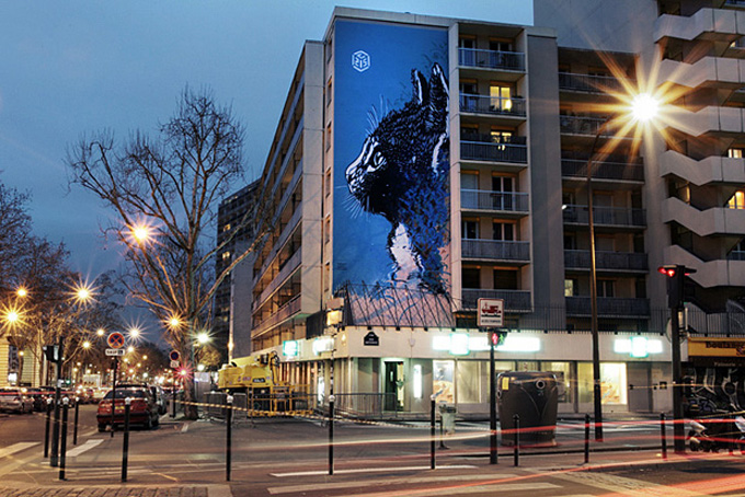 C215 Legal Piece in Paris 